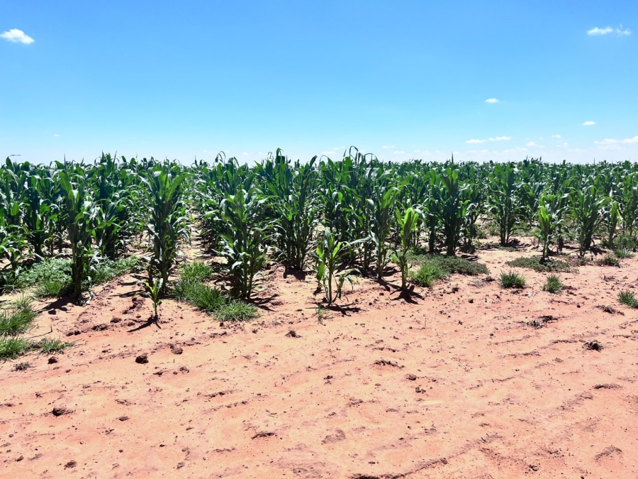 Commercial Property for Sale in Bloemfontein Rural Free State